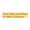 Adrian Florea - Blog